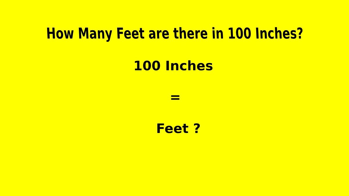 how-many-feet-are-there-in-100-inches